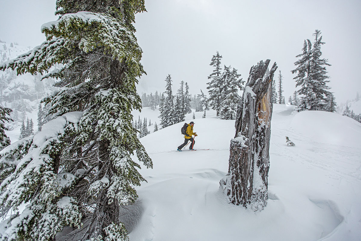 Arc'teryx Sabre Pant (shot through trees)